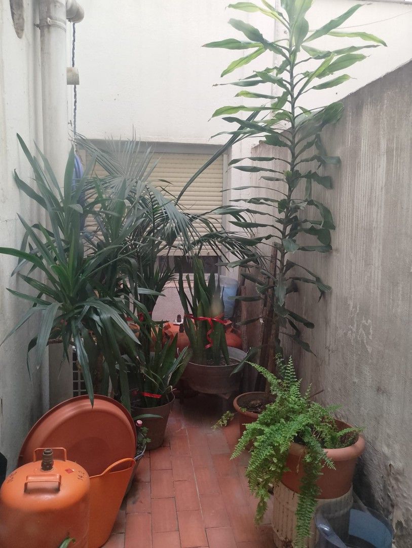 galeria - terraza