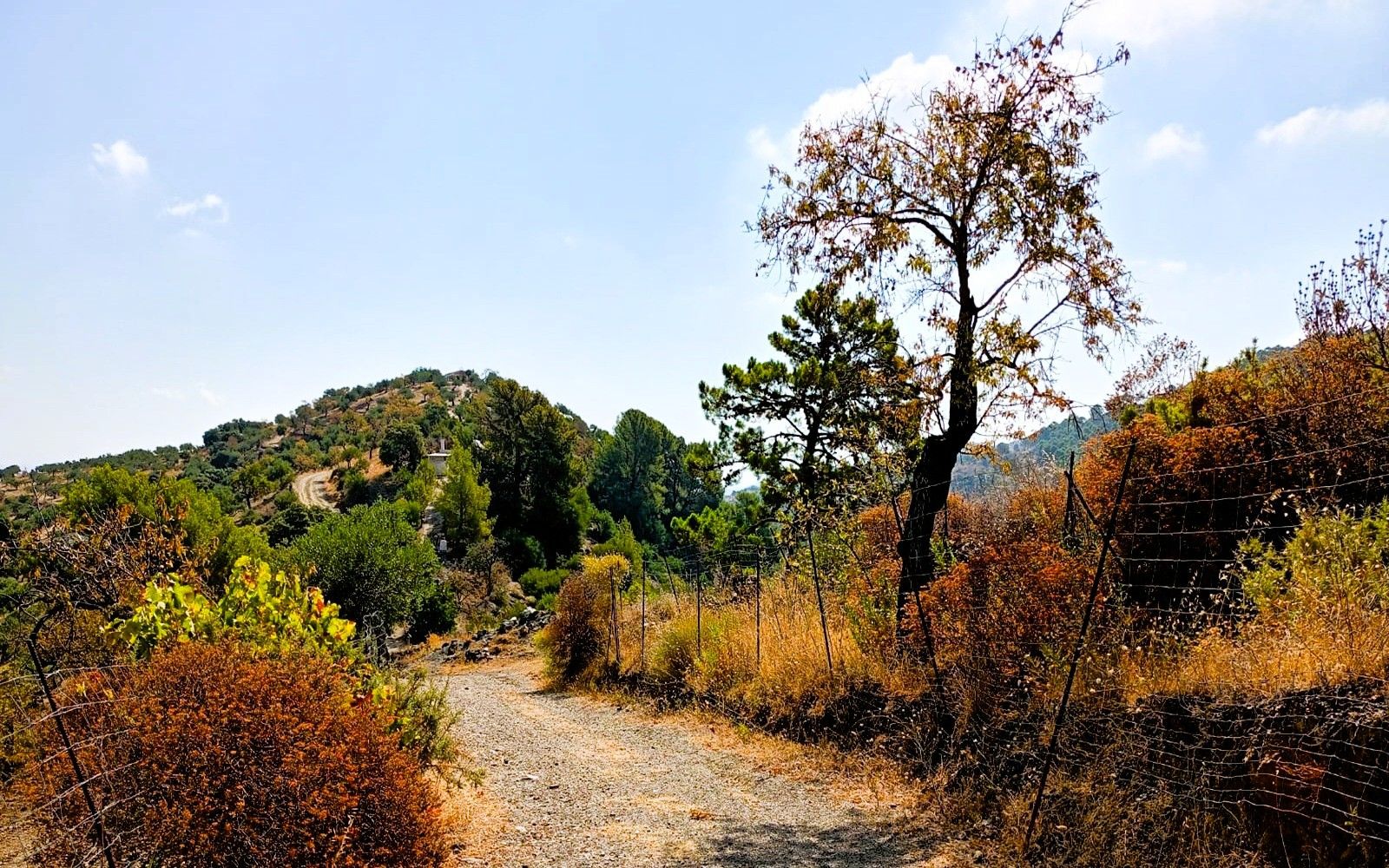 Land And Plots for Sale in Tolox