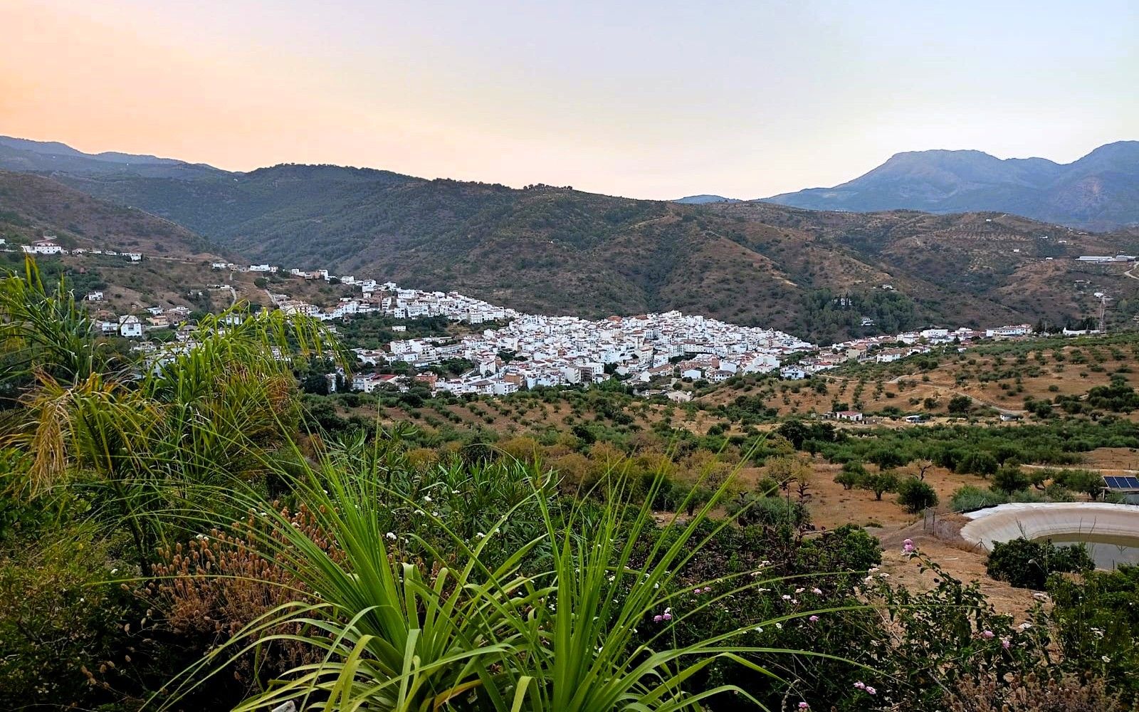 Land And Plots for Sale in Tolox