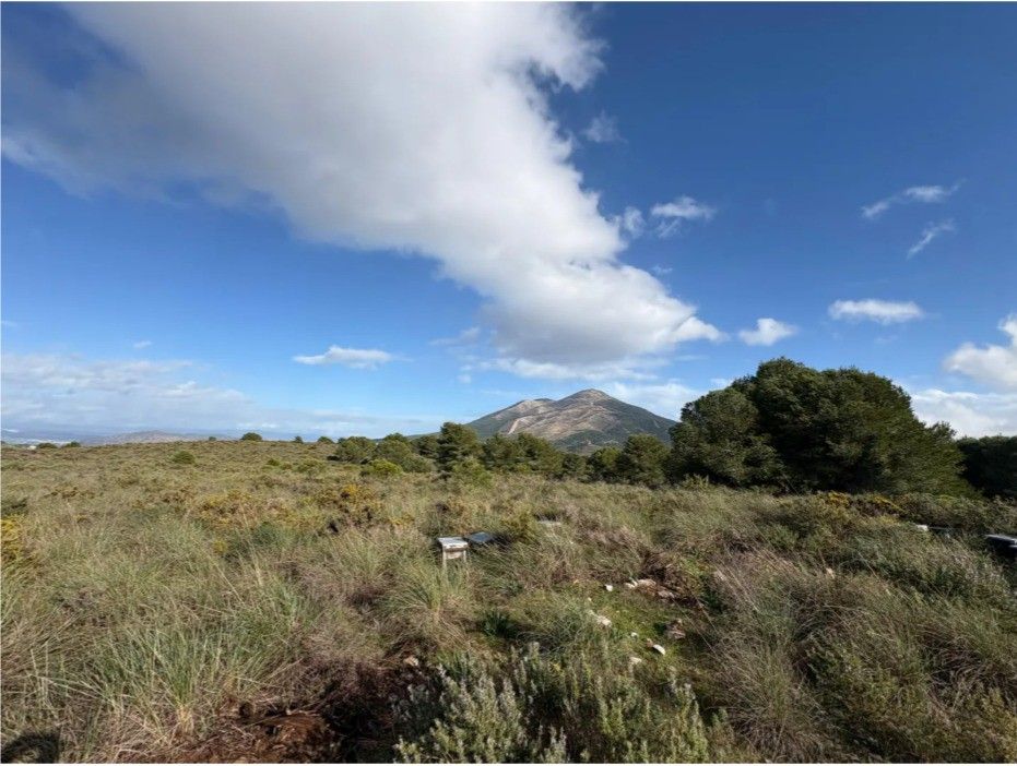 Land And Plots for Sale in Coin