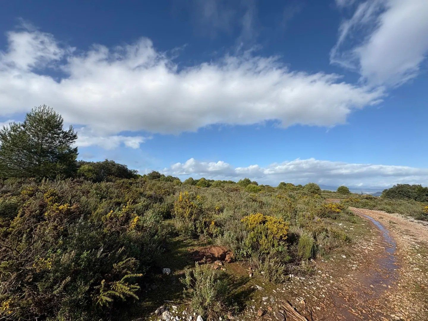 Land And Plots for Sale in Alhaurin el Grande