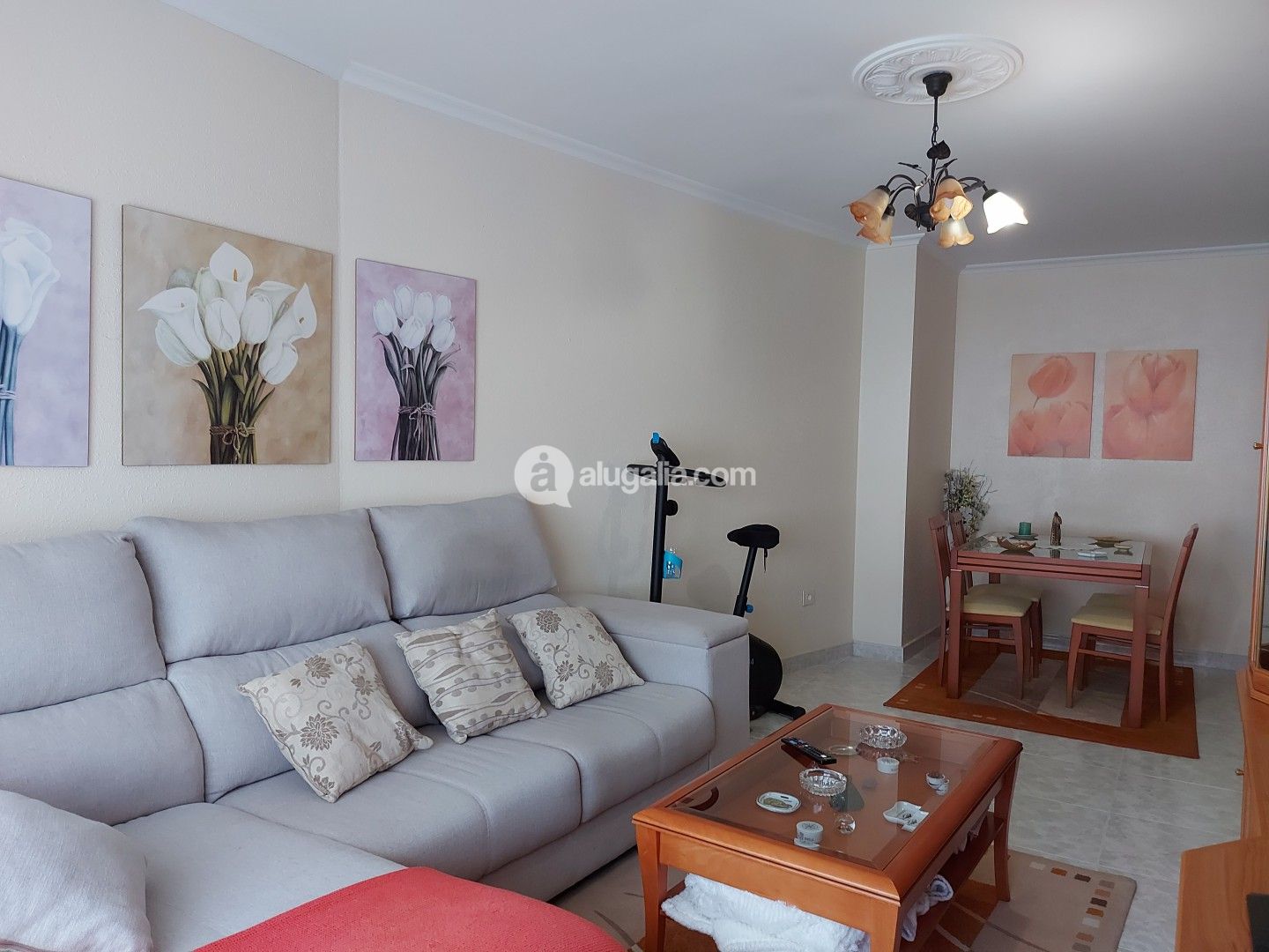 SALON COMEDOR