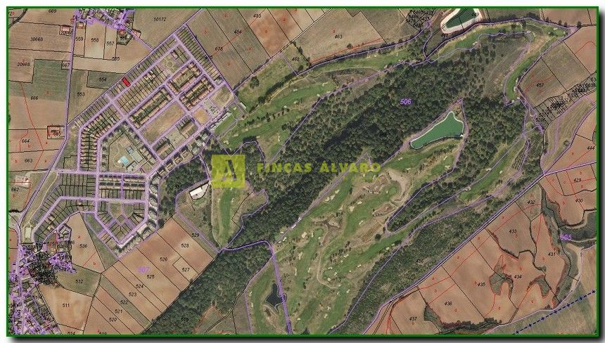 Campo de Golf