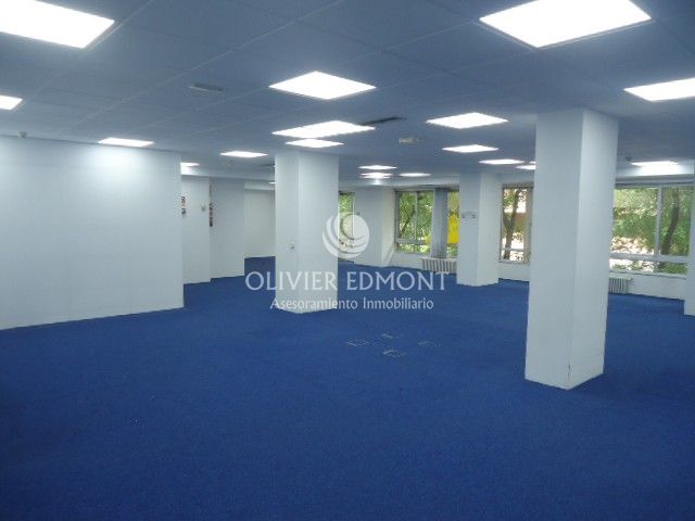 1ª plta mod C Y D 411m2