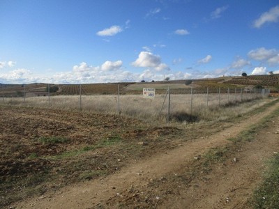Terreno en venta en Aranda De Duero