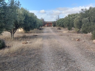 Finca rústica en venta en Cartagena, con 4 dormitorios, 2 baños, plaza de garaje y terreno