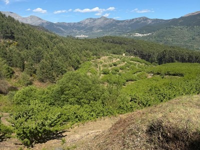 Terreno rural en venta en Mombeltran, Poligono,7