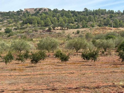 Chalet en venta en Navarres, con 1 dormitorio y baño