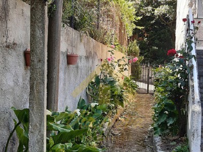 ENTRADA CASA