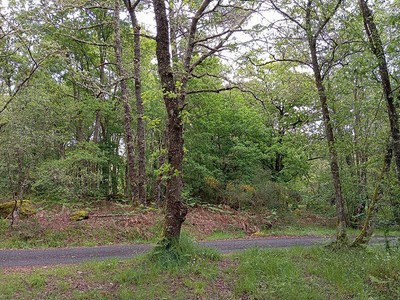 Terreno rural en venta en Allariz