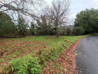 Terreno urbano en venta en Nogueira De Ramuín