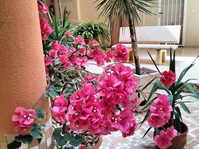 Apartamento en venta en San Miguel De Salinas, con 2 dormitorios y 2 baños