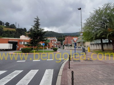 Zona