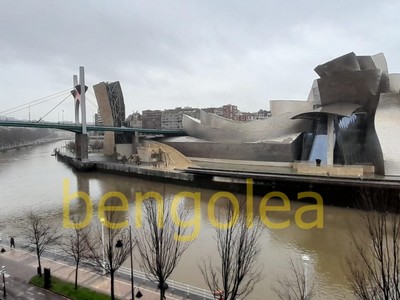 Piso en venta en Bilbao, Avenida Universidades, con 3 dormitorios, 3 baños, 2 plazas de garaje, trastero y terraza