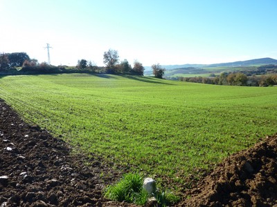 Terreno en venta en La Puebla De Arganzón