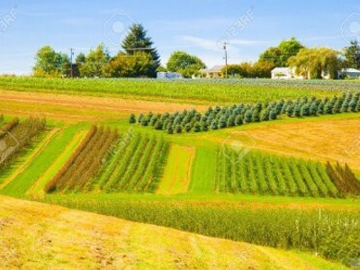 Terreno en alquiler en Villanueva De Oca