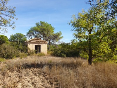 Caserío en venta en Pozohondo, Cerro Mojon. Pozohondo (albacete)