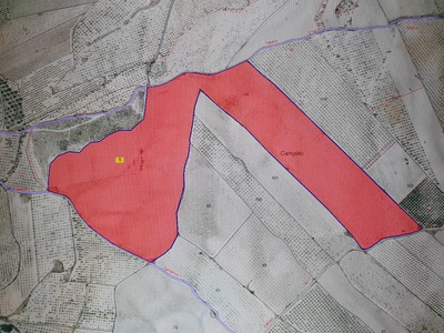 Finca rústica en venta en Tobarra, Paraje Los Campillos