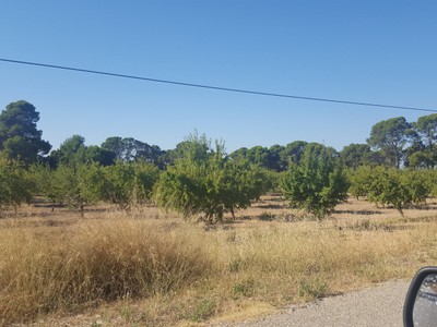 Terreno rural en venta en Aljube (tobarra), Paraje La Cuesta