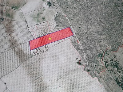 PARCELA
