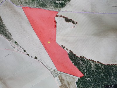 Finca rústica en venta en Tobarra, Hoya De Santa Ana (paraje Quitapellejos)