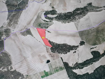 PARCELA DE LARGO