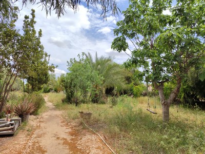 Casa rural en Aspe | 6 dormitorios y 2.315 m² de terreno – Housinvert