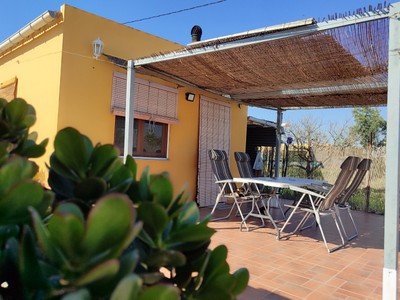Casa rural en venta en Aspe, Pedanias, con 3 dormitorios, baño, aseo, 2 plazas de garaje, trastero y terreno