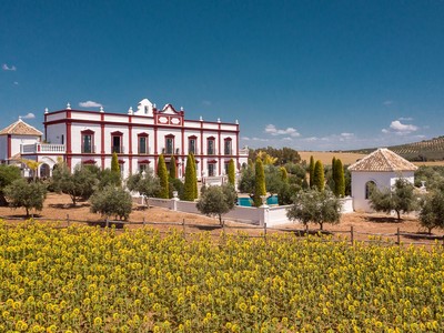Cortijo en venta en Moron De La Frontera, con 8 dormitorios, 9 baños, 2 plazas de garaje, trastero, 4 balcones, 13 terrazas y terreno