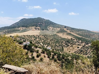Finca rústica en venta en Riogordo, Riogordo, con 3 dormitorios, trastero y terreno