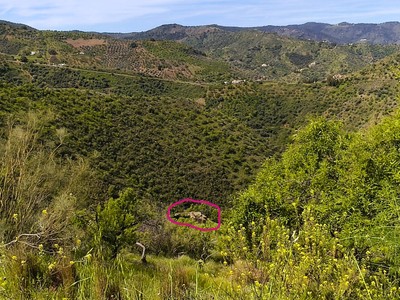 Finca rústica en venta en Comares, Santo Pita Y Las Puñuelas, con 1 dormitorio y terreno