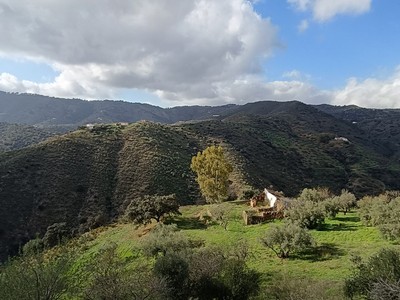 Finca rústica en venta en Colmenar, Paraje La Bonanza, con 3 dormitorios y terreno