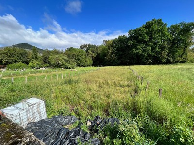Terreno en venta en Castro Urdiales, Samano