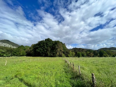 Terreno rural en venta en Castro Urdiales, Samano