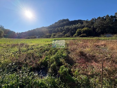 Terreno rural en venta en Castro Urdiales, Samano
