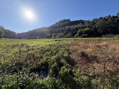 Terreno rural en venta en Castro Urdiales, Samano