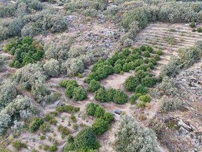 Finca rústica castaños en venta en Garganta La Olla