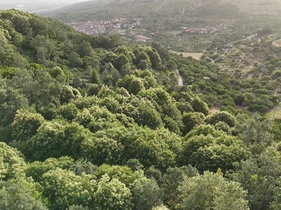 Finca rústica en venta en Pasarón De La Vera