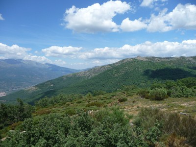 Finca rústica en venta en Navaconcejo