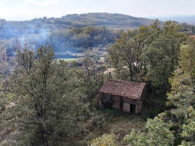 Finca rústica con vivienda en venta en Barrado