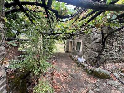 Finca rústica con vivienda en venta en Jaraiz De La Vera