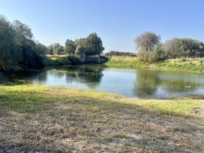 Finca rústica con vivienda en venta en Jaraiz De La Vera