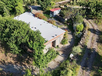 Finca rústica en venta en Casas Del Castañar