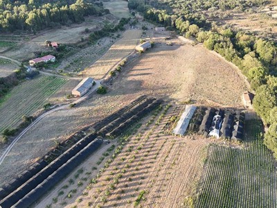 Finca rústica con vivienda en venta en Collado