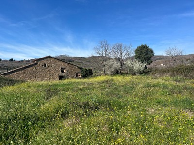 Finca rústica con vivienda en venta en Torremenga