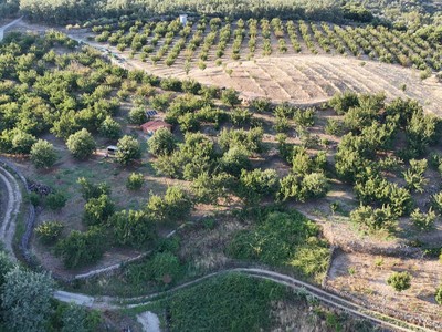 Finca rústica cerezos/castaños en venta en Garganta La Olla
