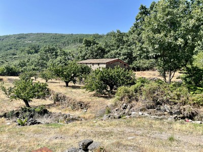 Finca rústica con vivienda en venta en Garganta La Olla