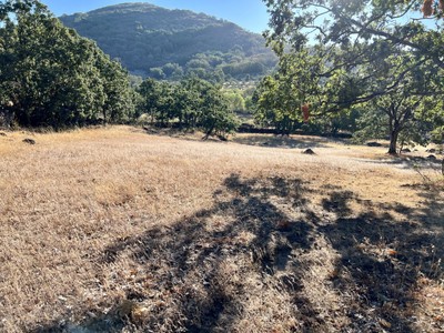 Finca rústica en venta en Pasarón De La Vera