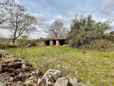 Finca rústica en venta en Tejeda De Tietar