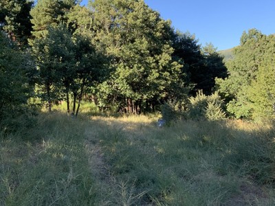 Finca rústica en venta en Candelario